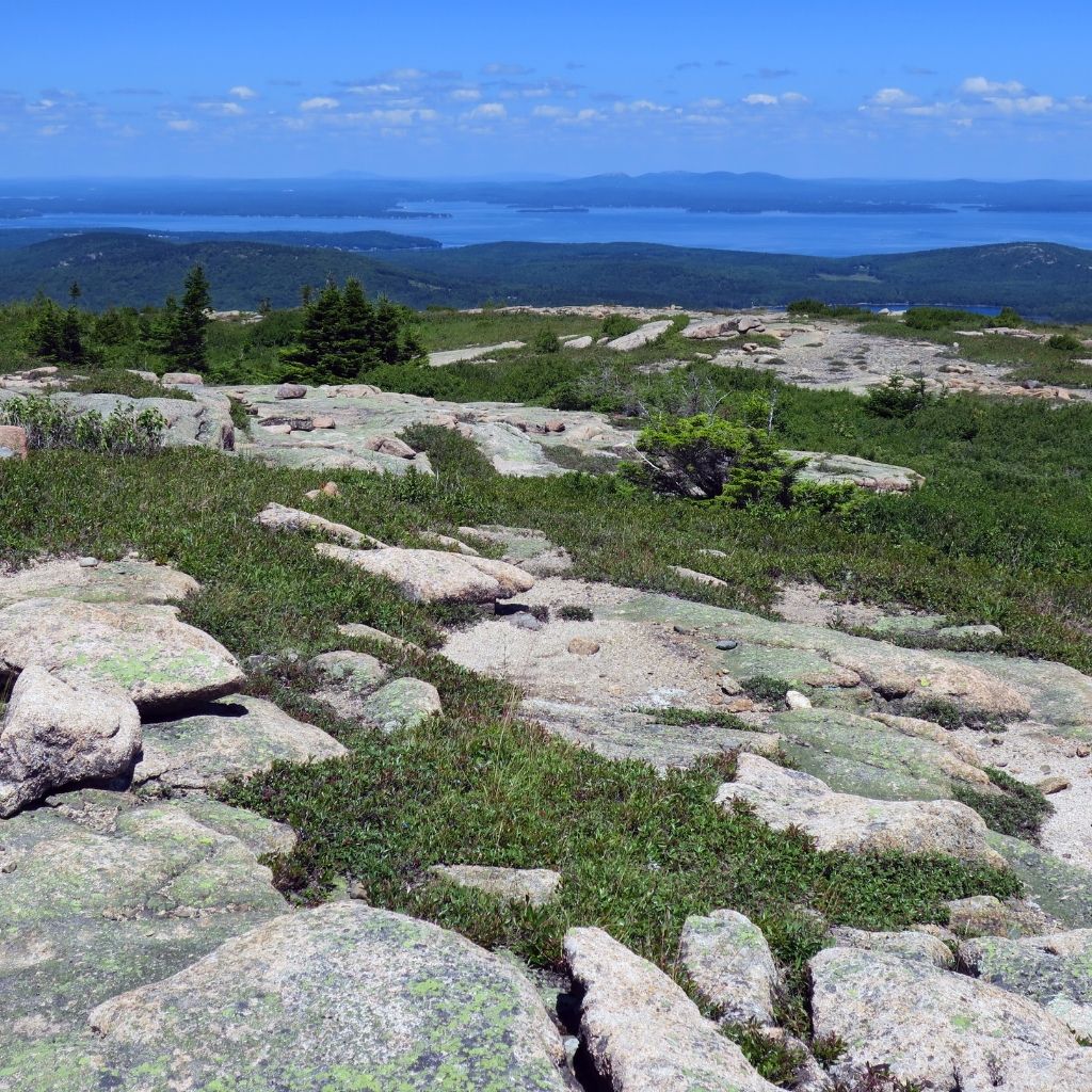 Cadillac Mountain Summit View