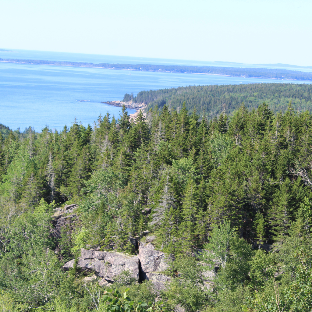 Gorham Mountain Trail Lookout