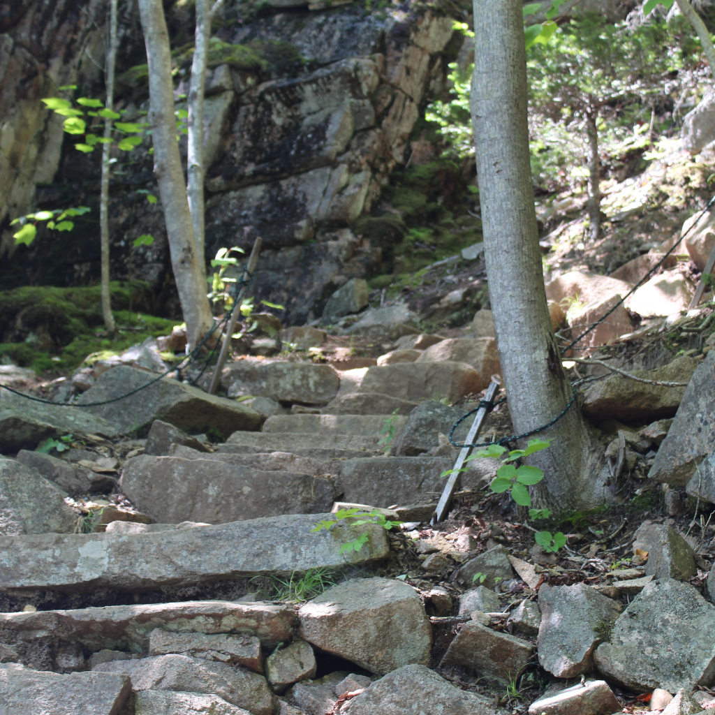 Rock stairs on Gorham Mountain Trail