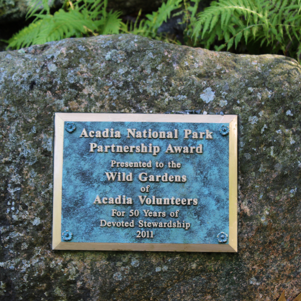 Honoring The Volunteers of Wild Gardens Of Acadia