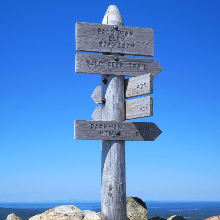 Parkman Mountain Including Bald Peak In Acadia National Park