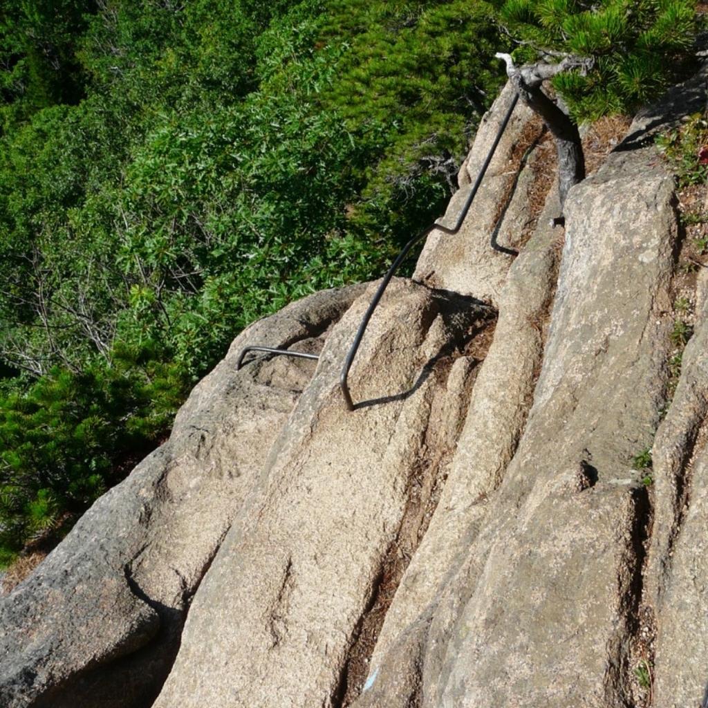 Rungs to hold onto along the trail