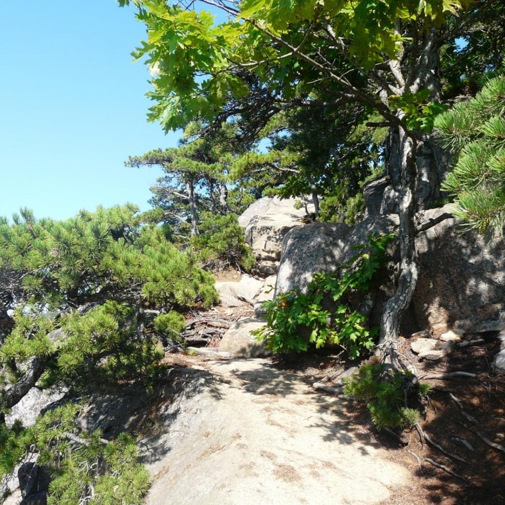 Looking up a steep rock section of the trail