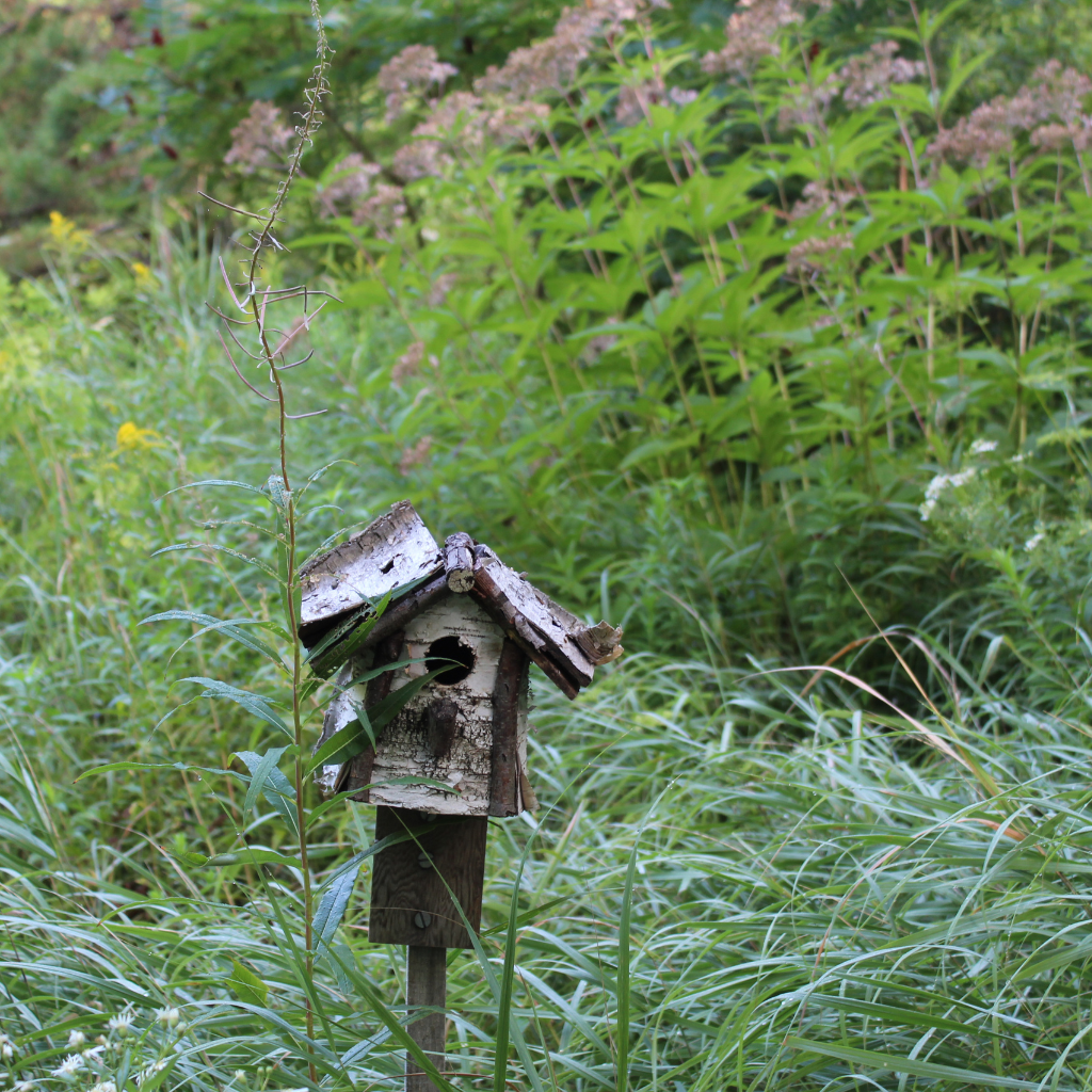 A handmade wooden birdhouse 