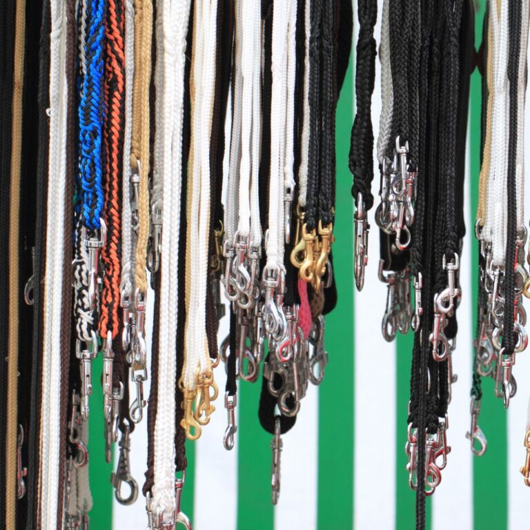 To show different styles and types of the best dog leashes for hiking