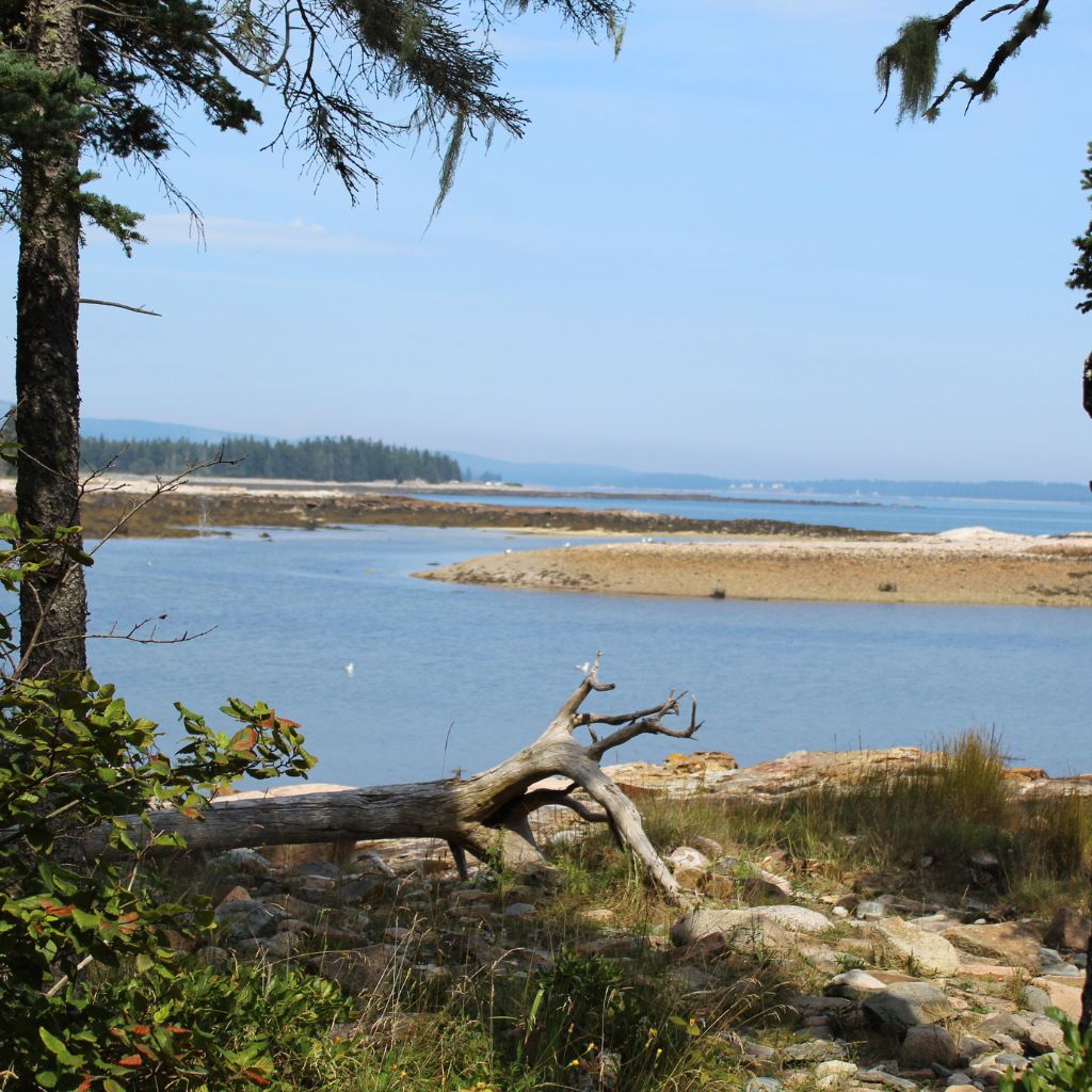 Showing the view along the trail