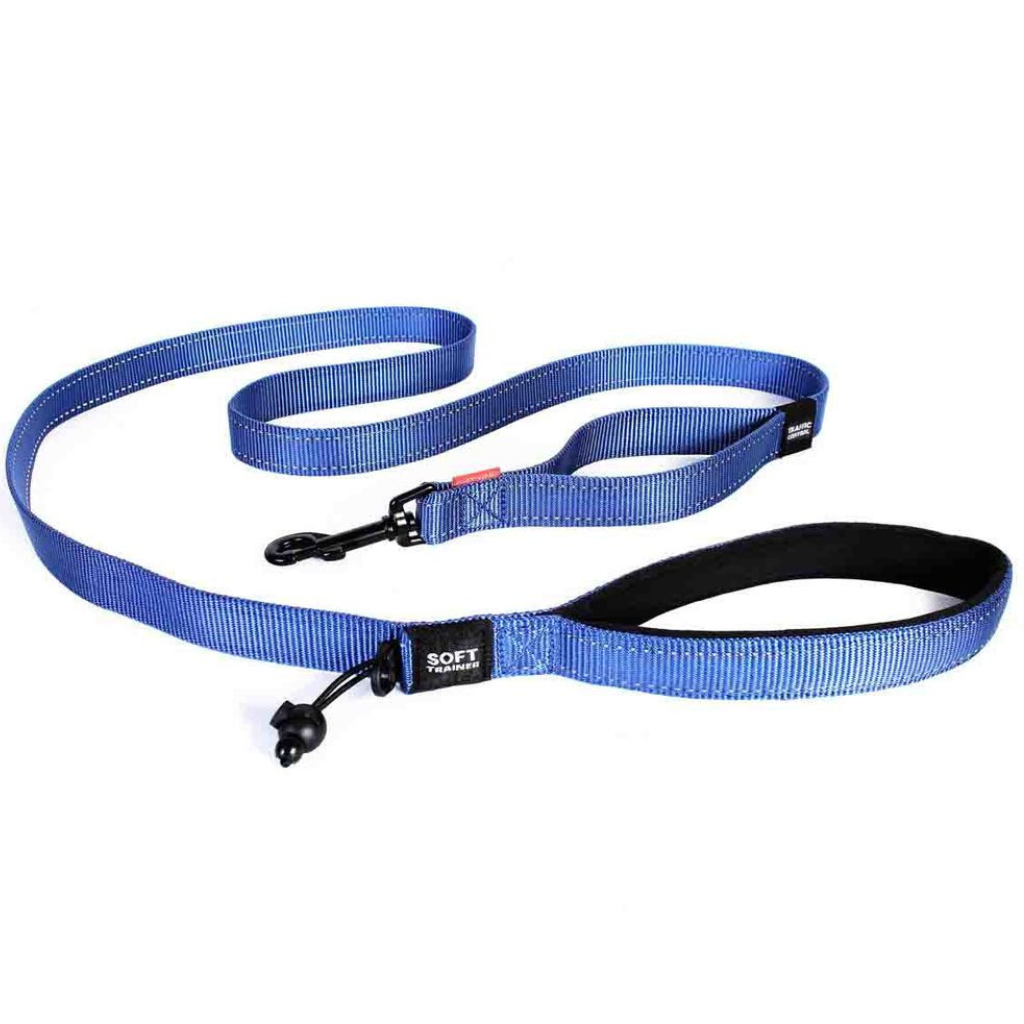 Show a standard dog leash