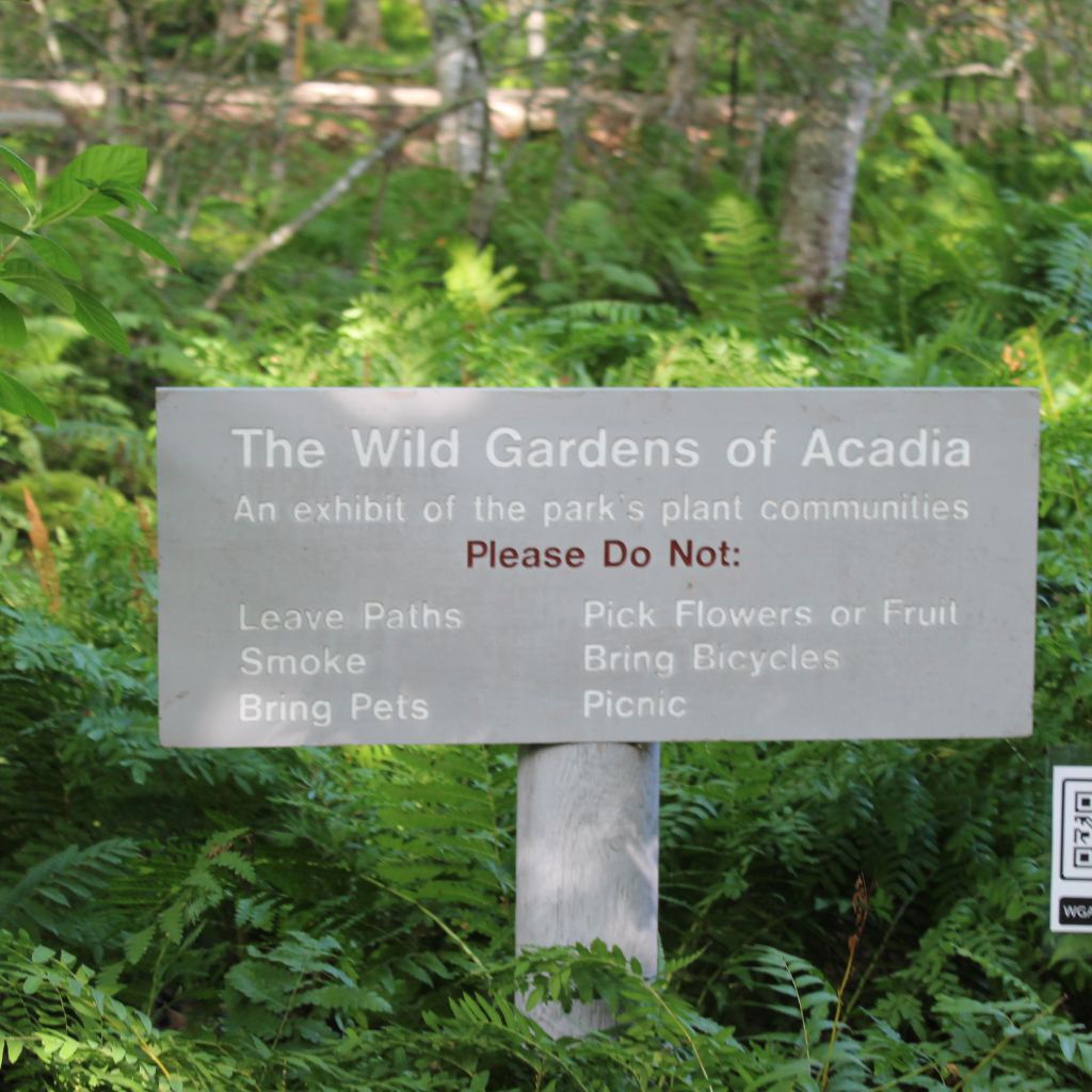 Rules of the Wild Gardens of Acadia