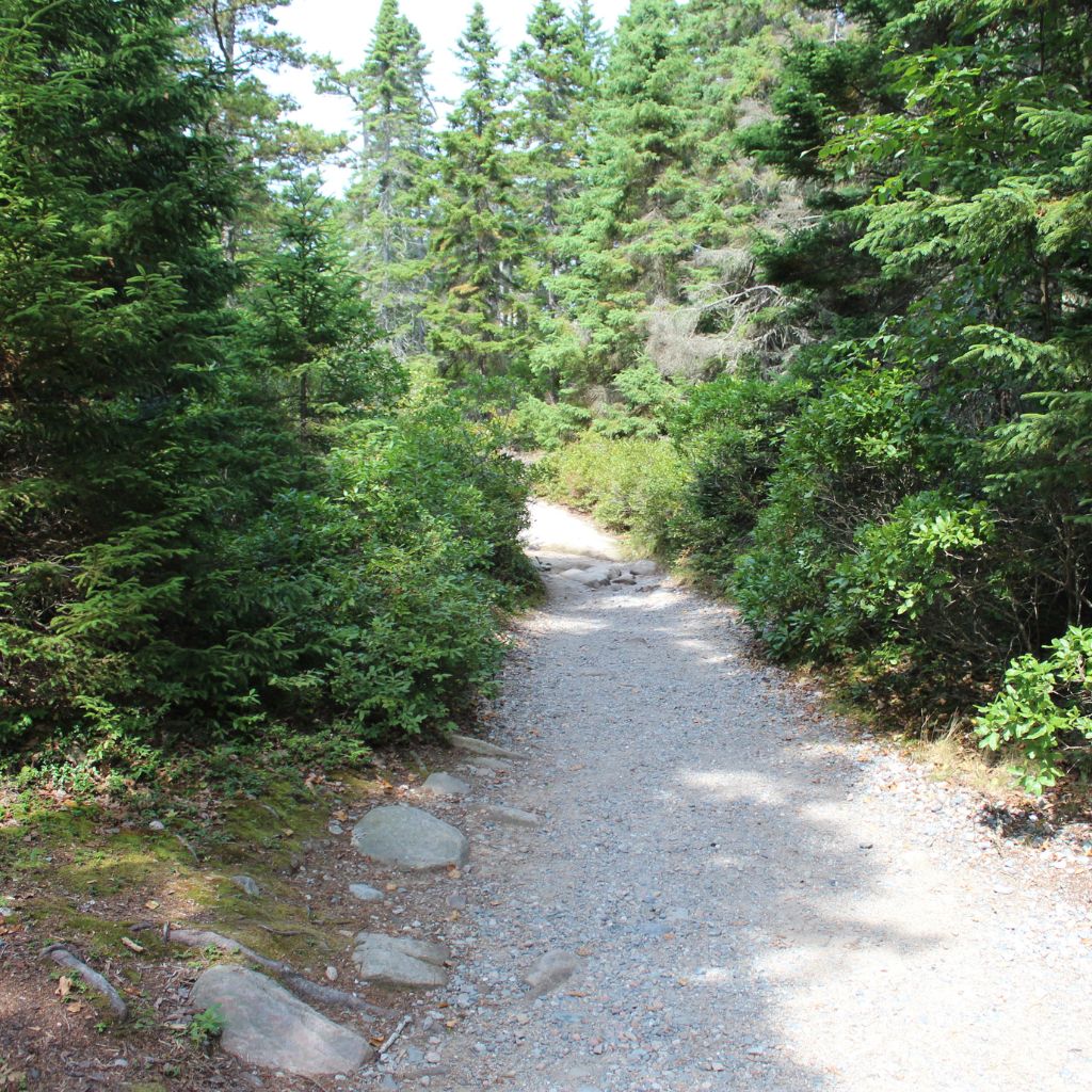 Gravel Path on the trail