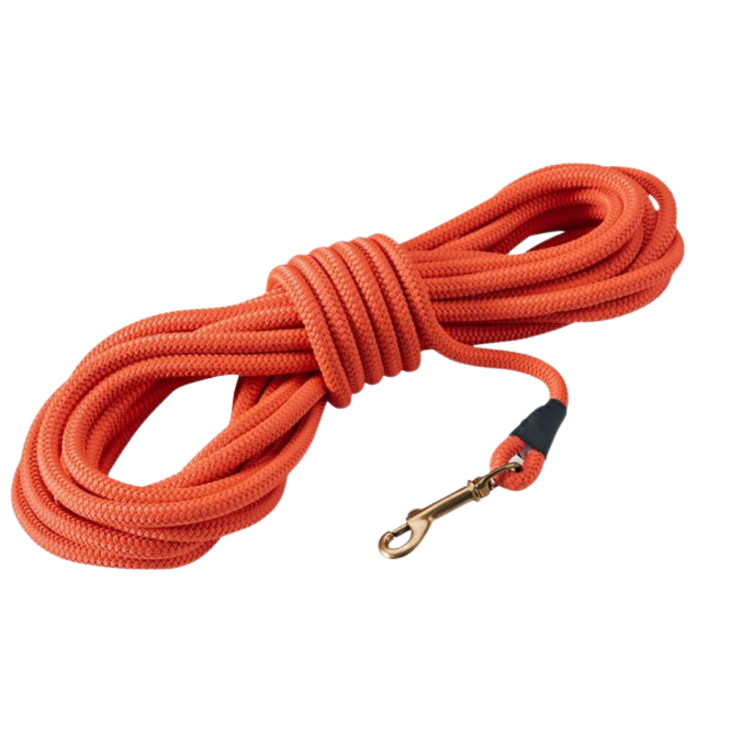 Long dog training leash 