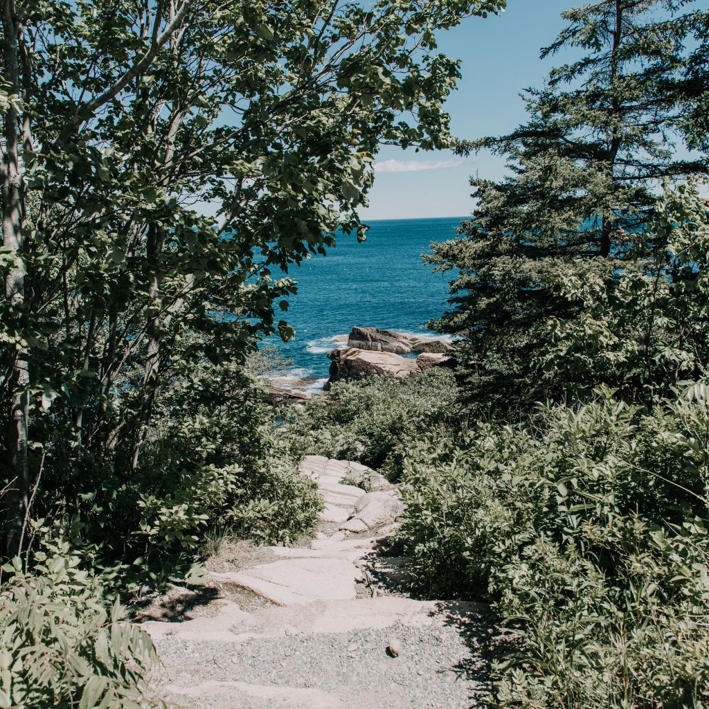 Ocean Through The Trees On The Trail