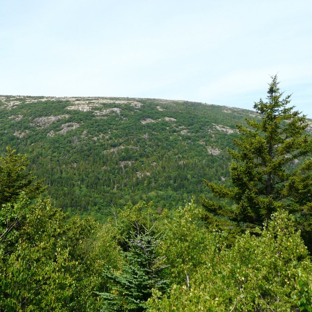 View of Parkman Mountain