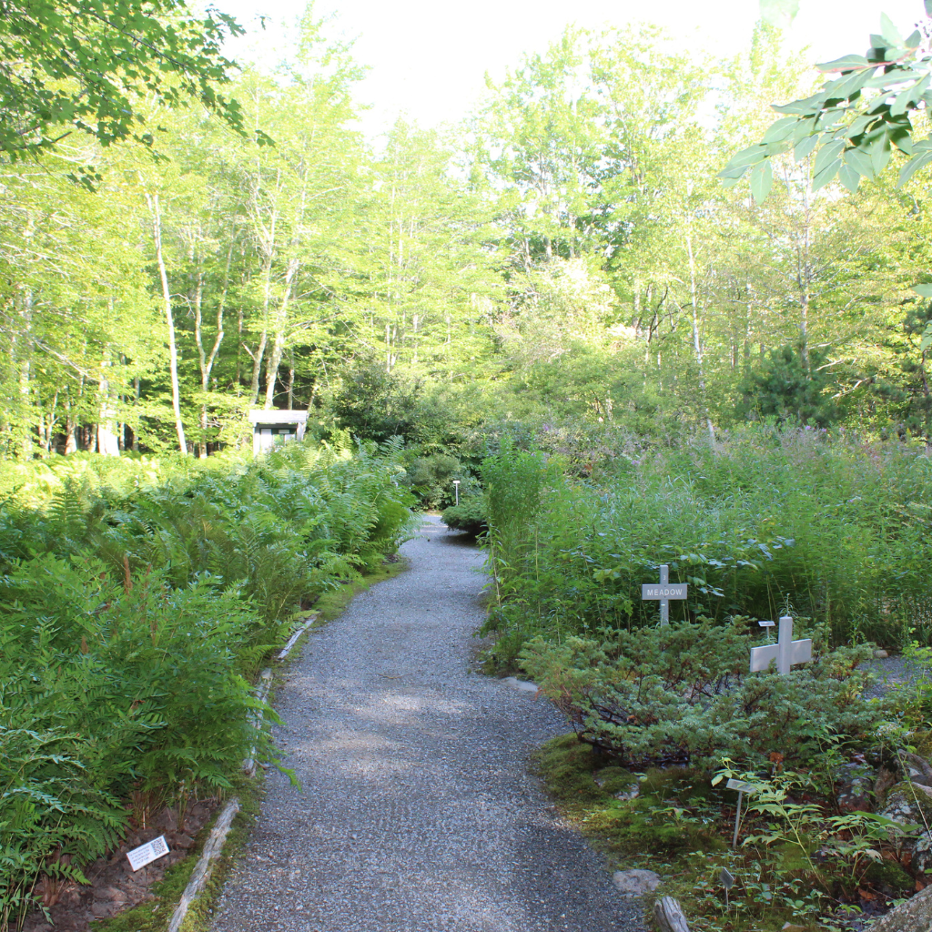 Path In The Gardens