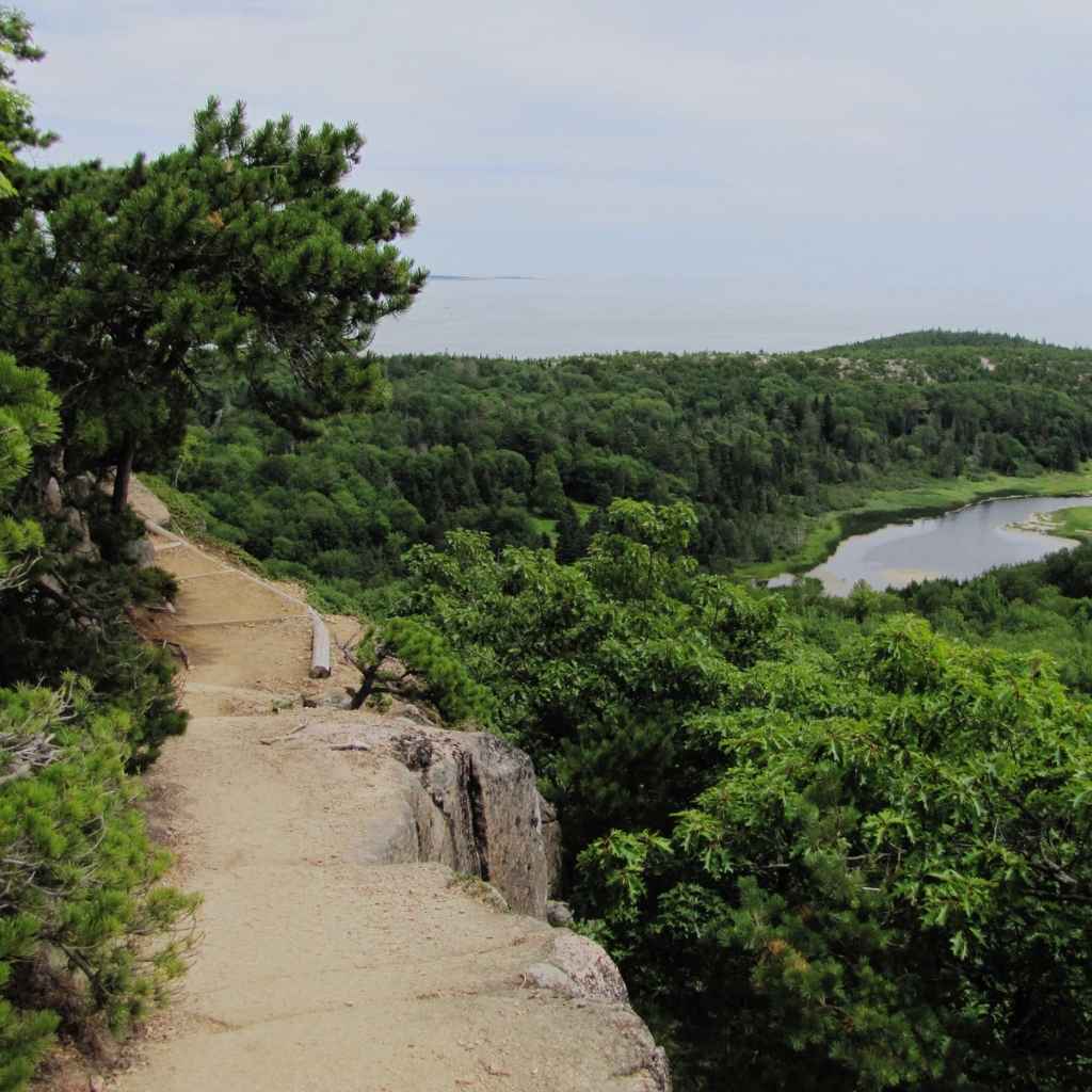 Showing what the narrow trail looks like