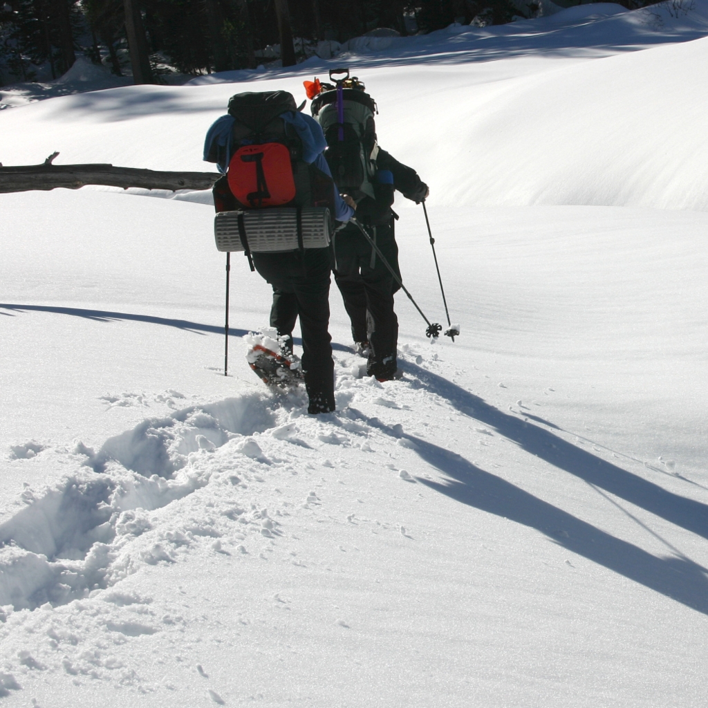 Couple Snowshoeing