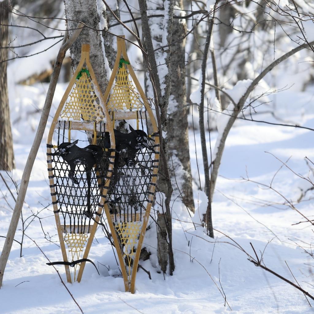 Old fashioned wooden snowshoes