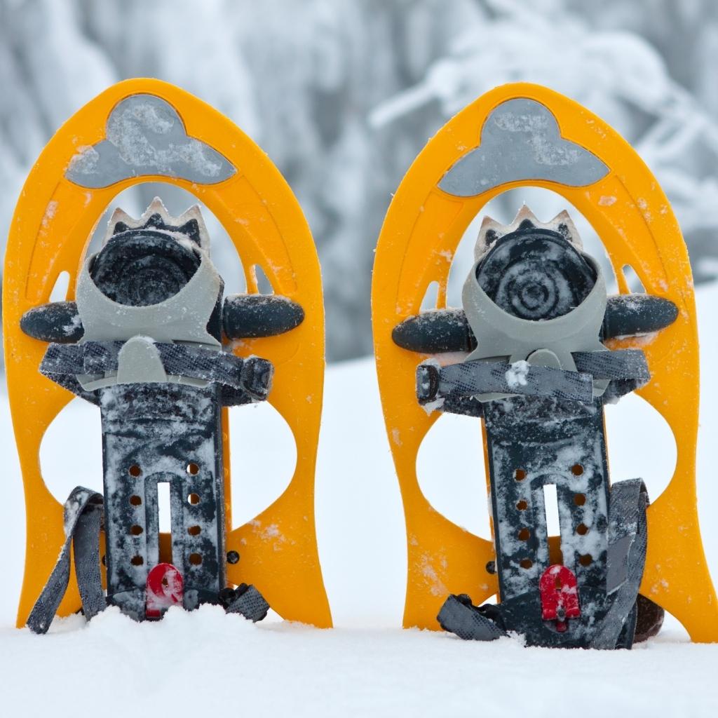 Snowshoes